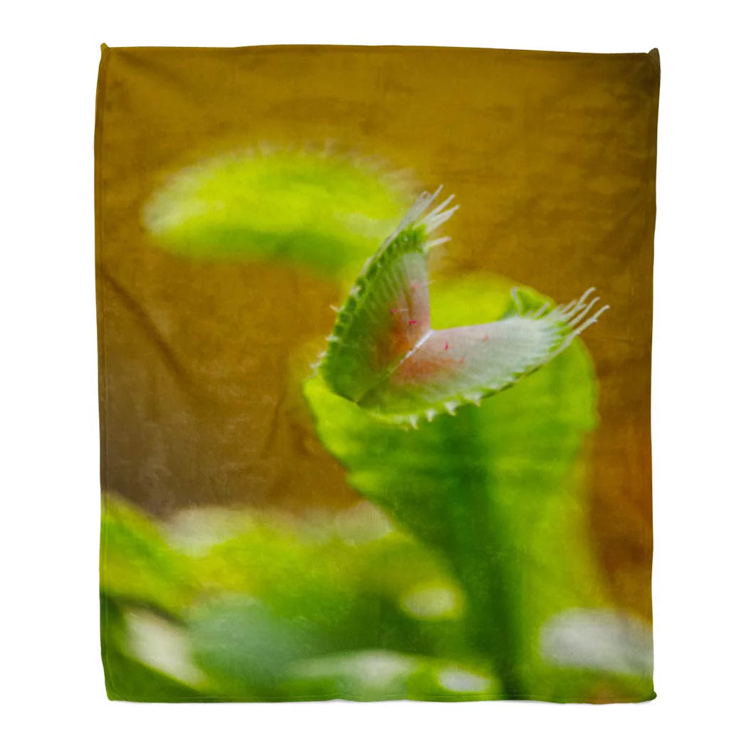 Green Botanical Flannel Throw Blanket 58x80 Inches U879604