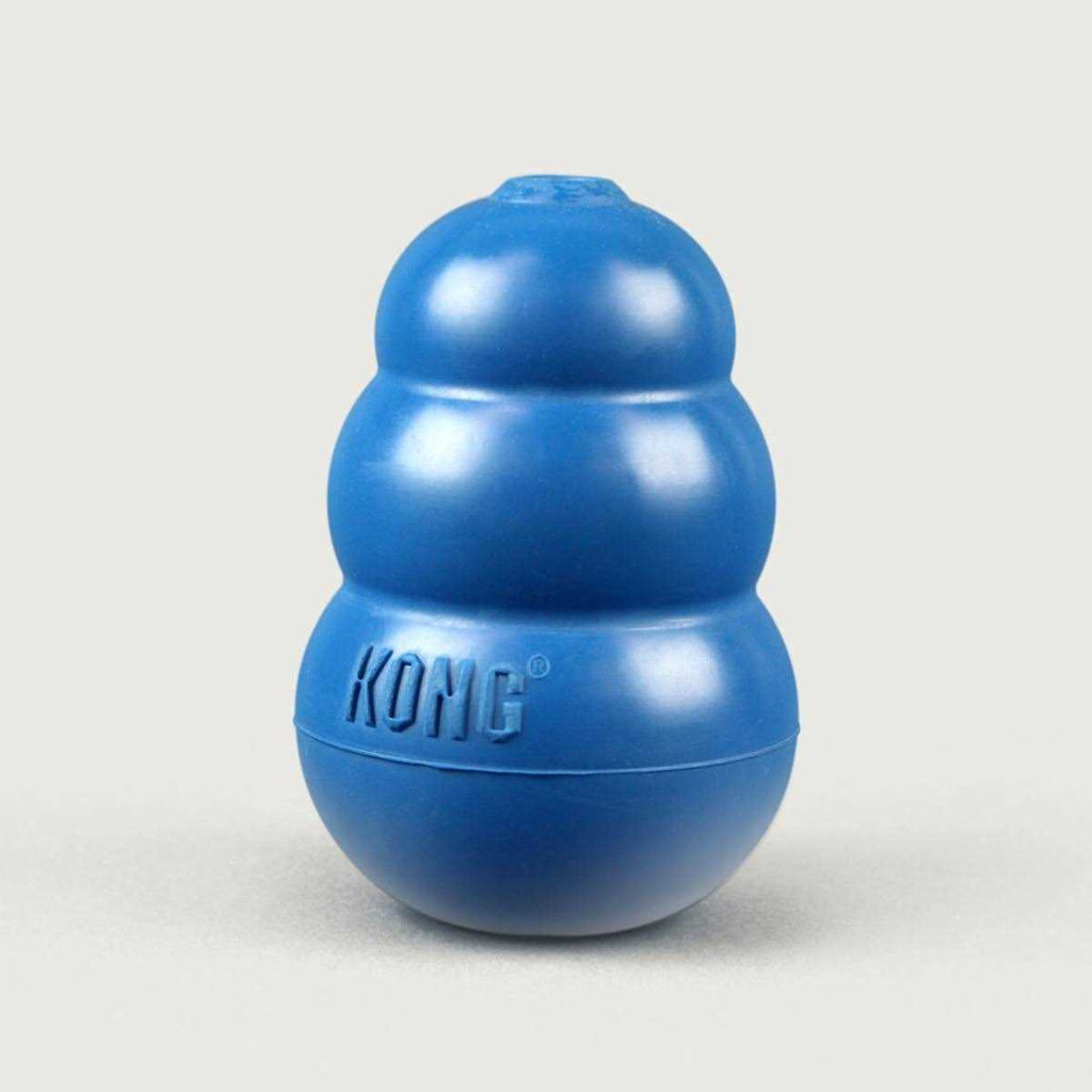 Blue Dog Toy N542