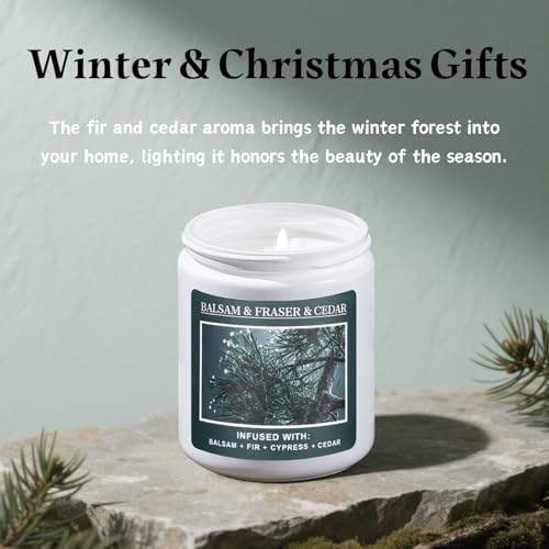 Christmas Tree Fir Pine Candles O545710