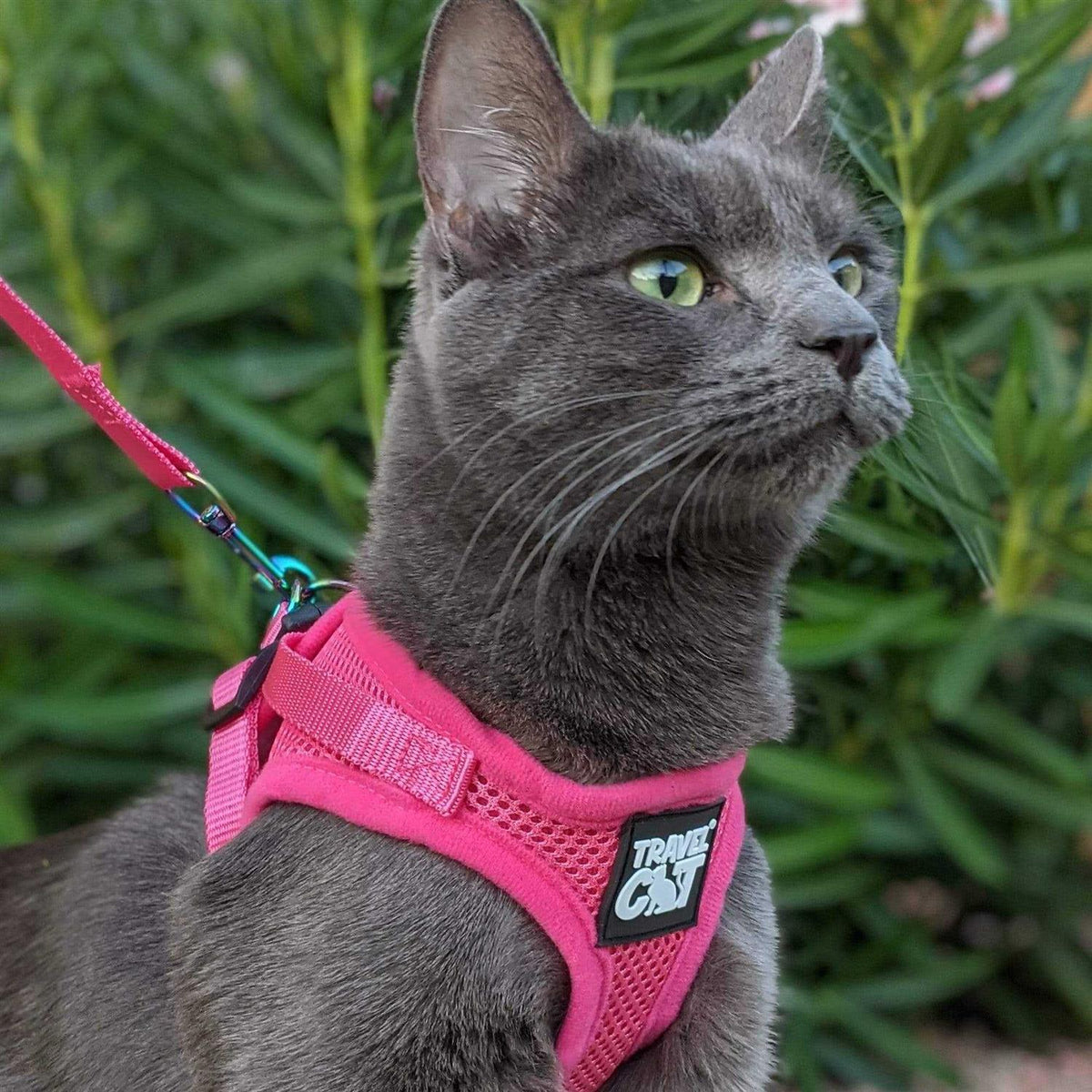 Reflective Cat & Kitten Harness and Leash N567156