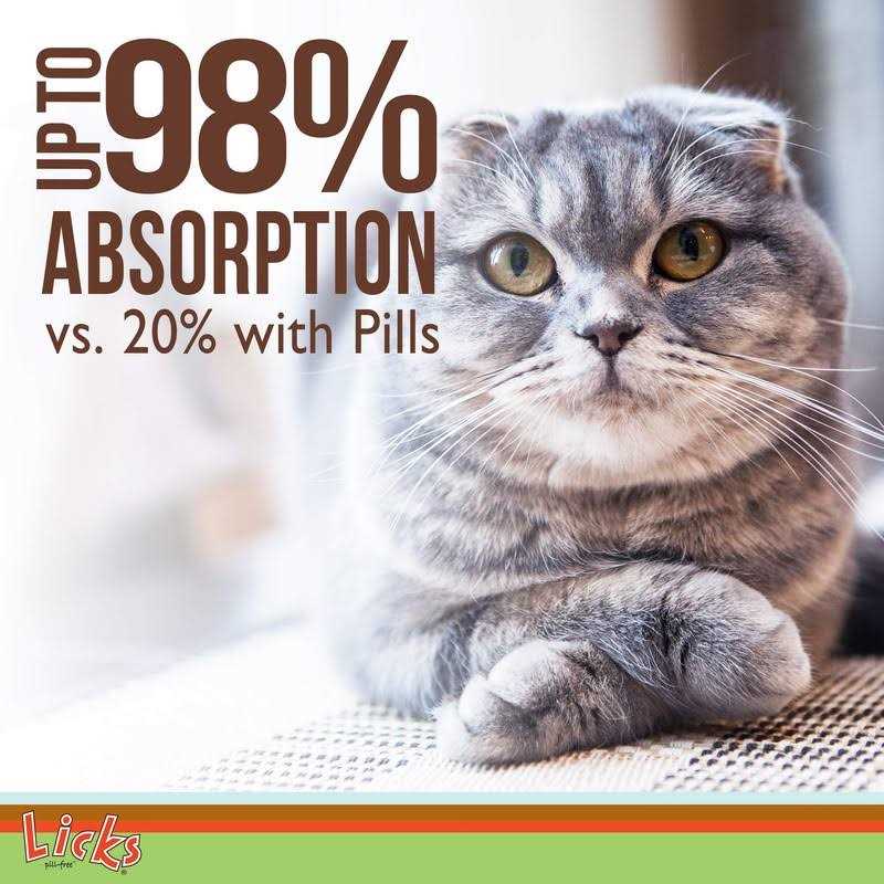 Senior Cat Joint Support & Digestion Supplement T46672