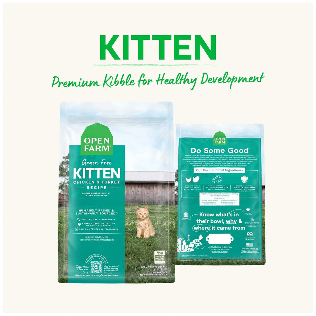 Grain Free Kitten Recipe I552