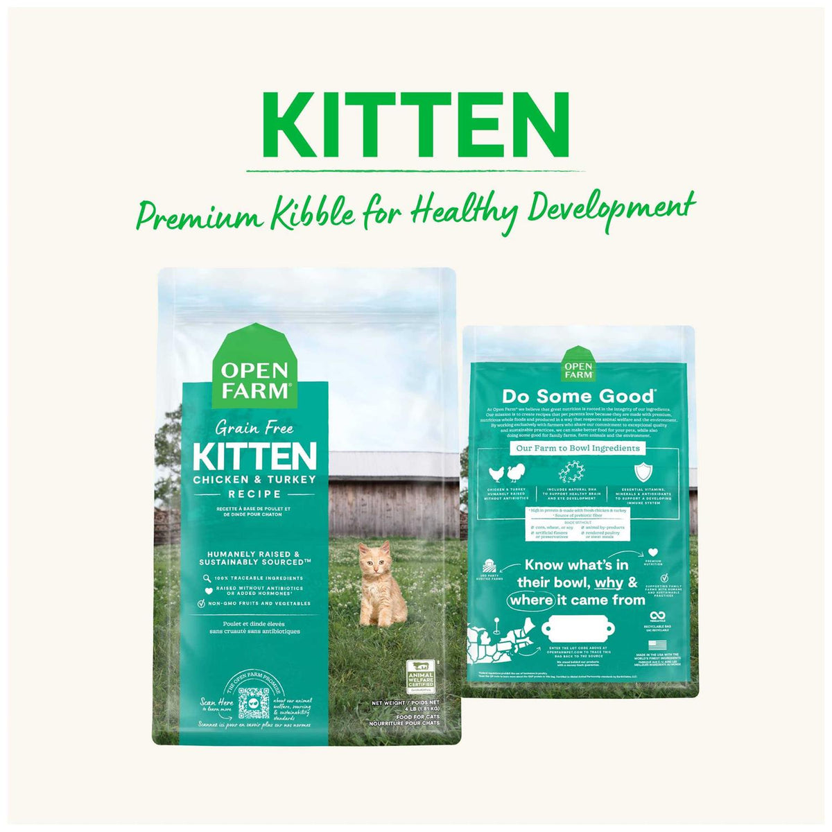 Grain Free Kitten Recipe I552