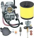 Carburetor & Air Filter & Fuel Valve Petcock With Spark Plug R384016