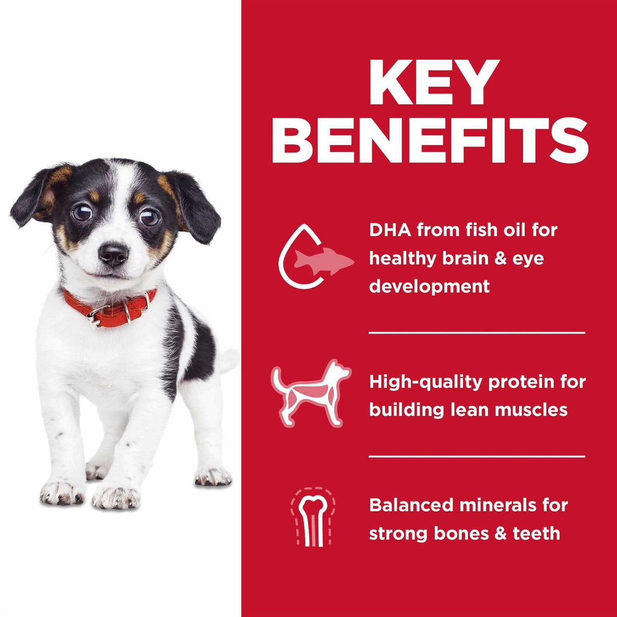 Puppy Dry Dog Food R188876