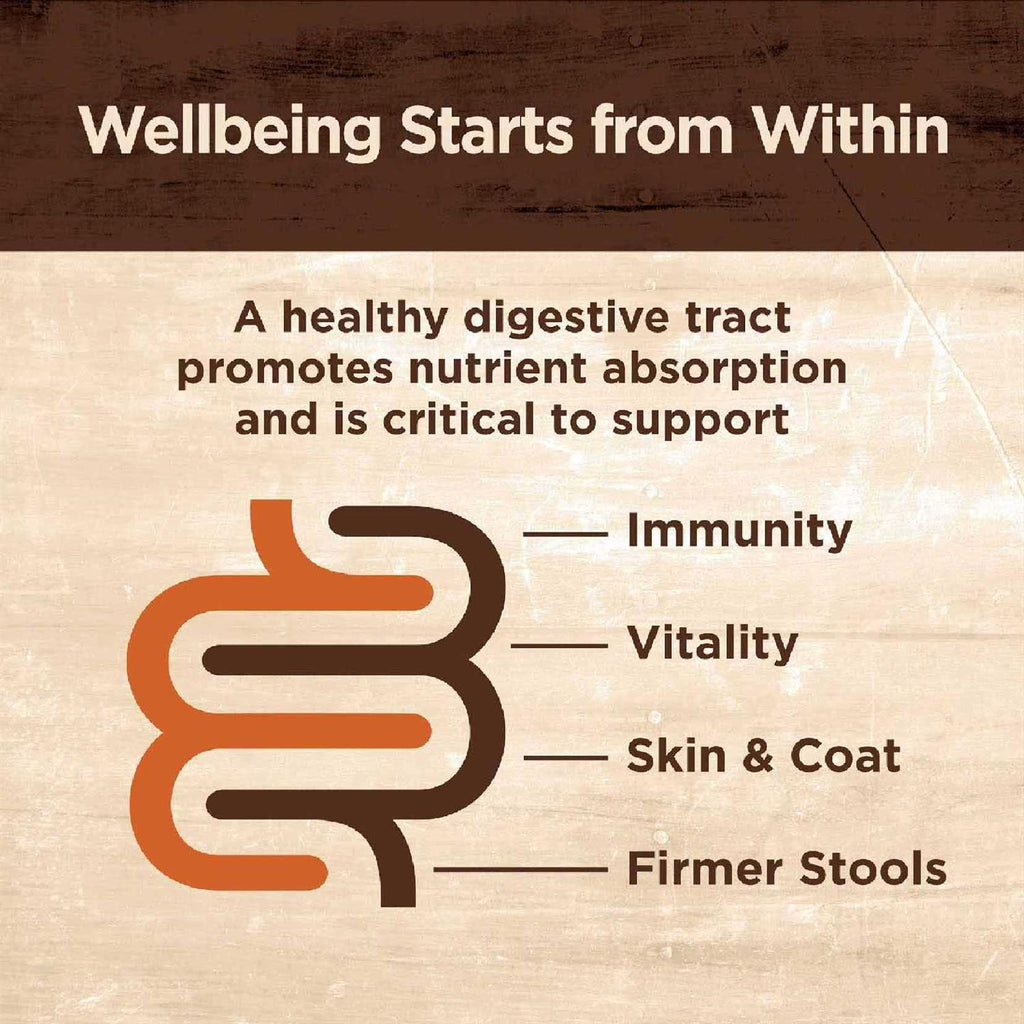 Digestive Health Pate Recipe Wet Cat Food B5760
