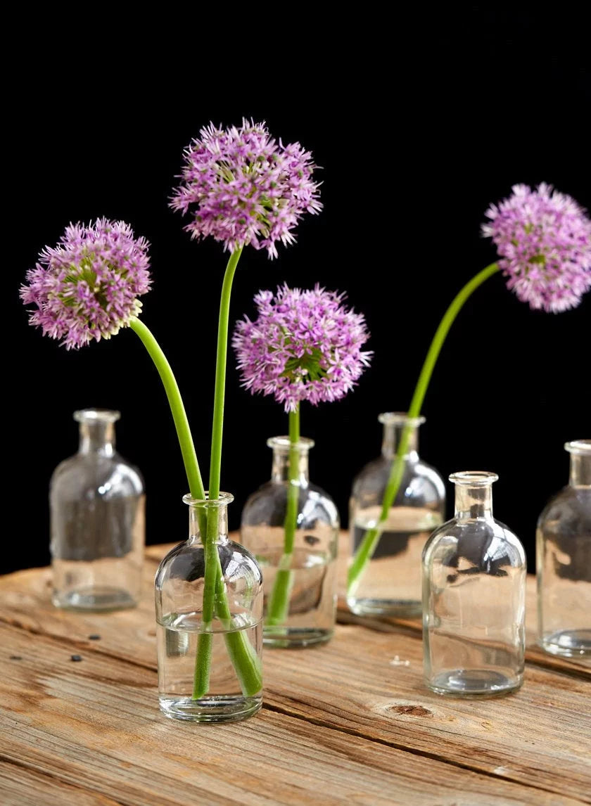 Set of 48 Clear Bud Vases O558