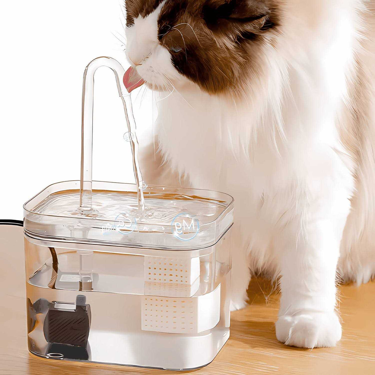 Pet Water Fountain 50oz 1.5L Automatic Water Dispenser with Filters Y58699