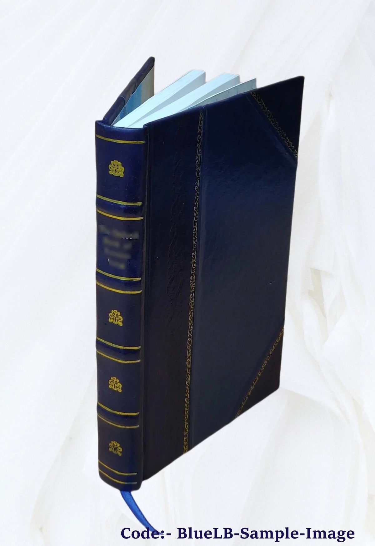 Leather Bound N758473