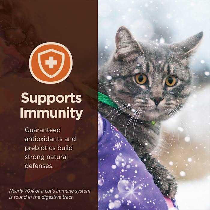 Digestive Health Pate Recipe Wet Cat Food B5760