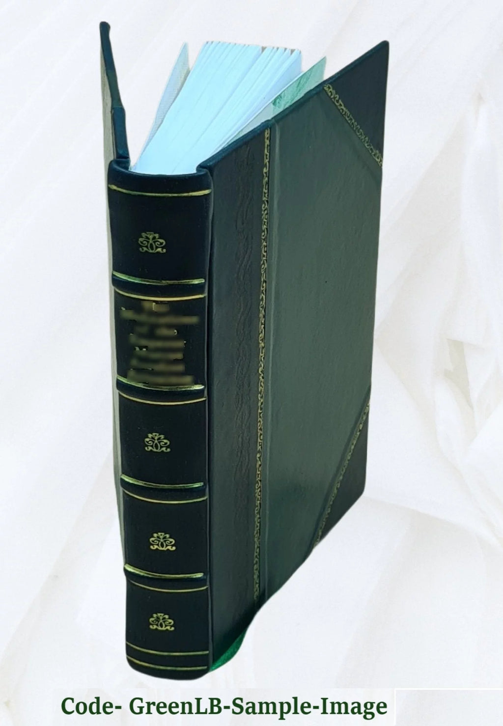 Leather Bound N758473