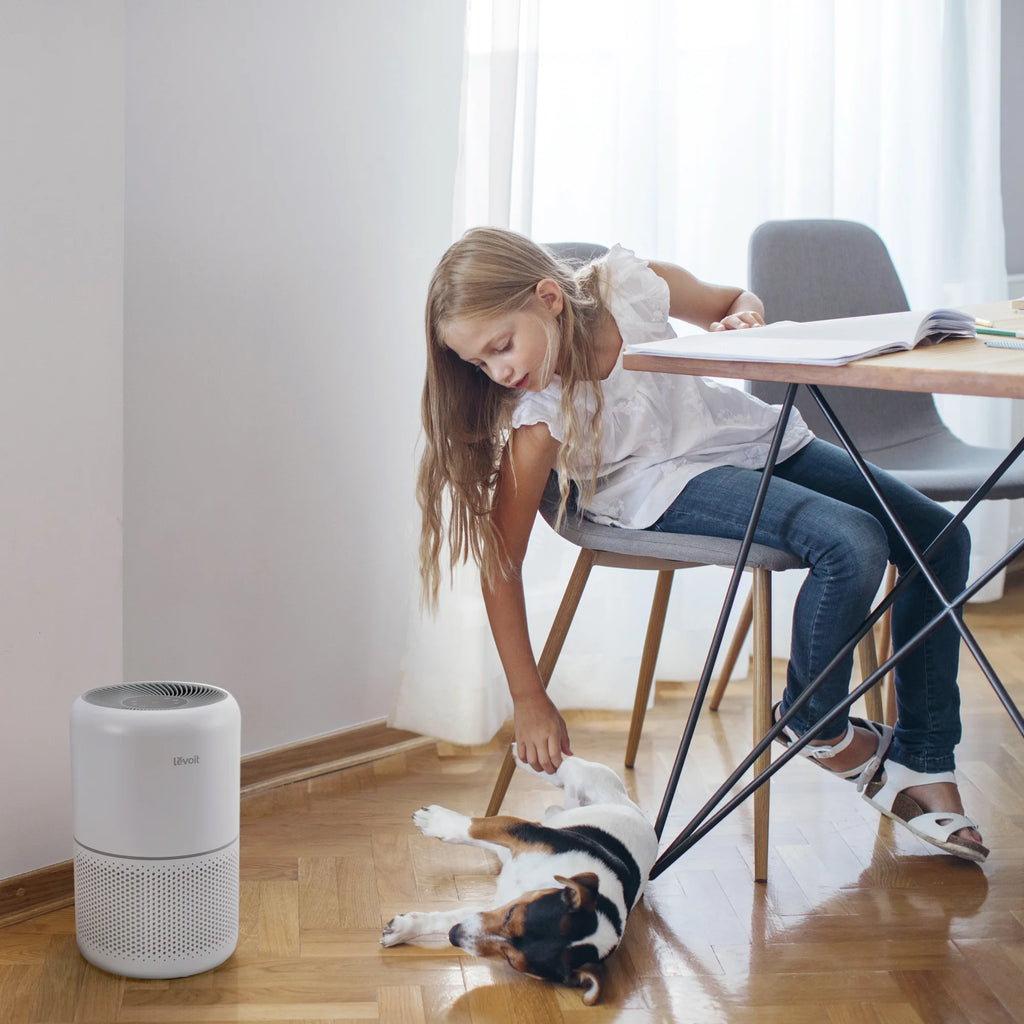 White True HEPA Air Purifier T84131
