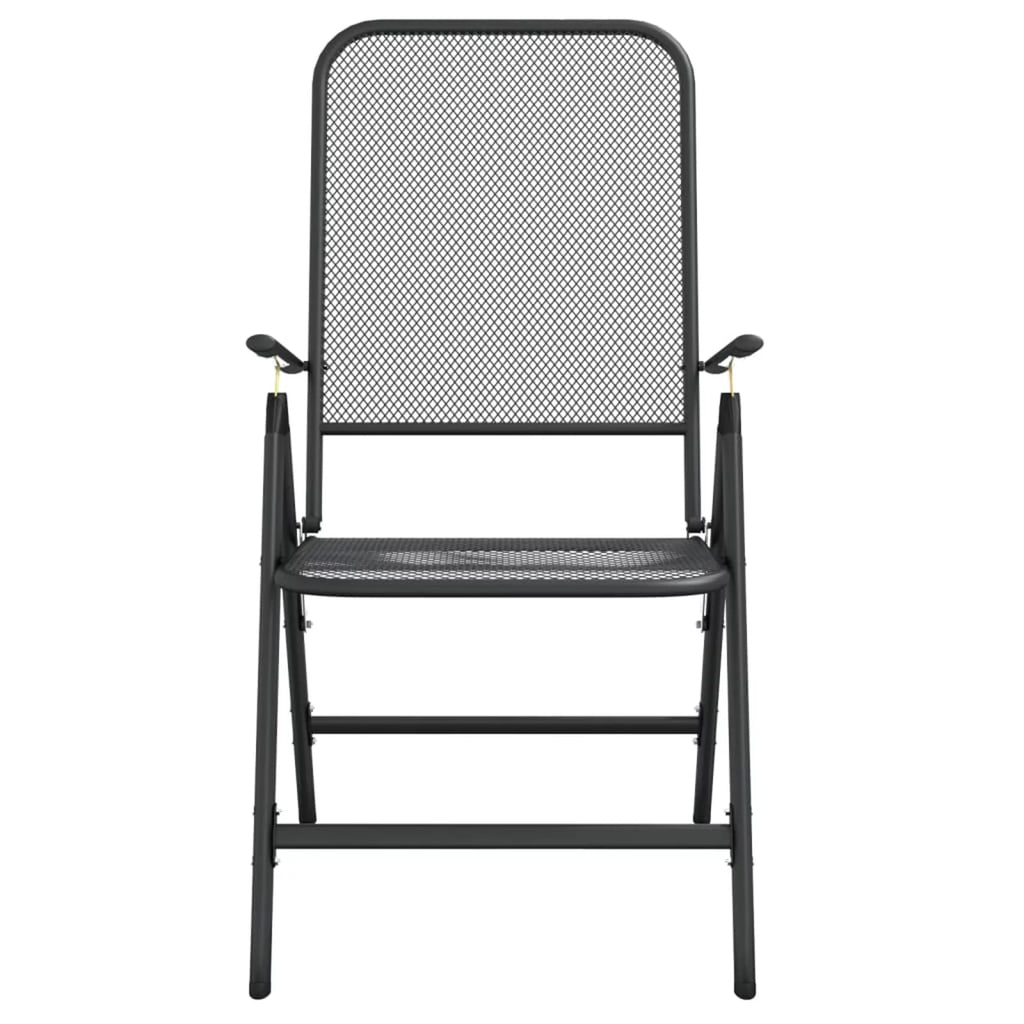 Folding Patio Chairs 2 pcs Metal Mesh Anthracite B3213