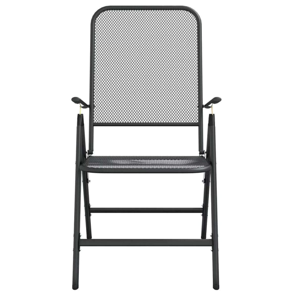 Folding Patio Chairs 2 pcs Metal Mesh Anthracite B3213