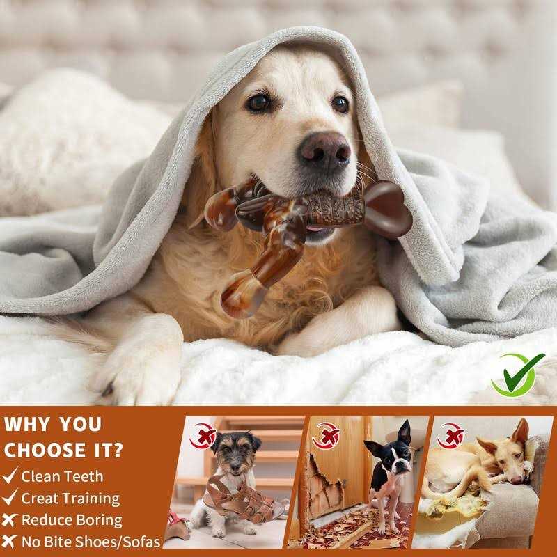 Real Bacon Flavored Tough Dog Bone Chew Toy S2434