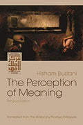 The Perception of Meaning Paperback N22838
