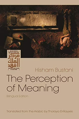 The Perception of Meaning Paperback N22838