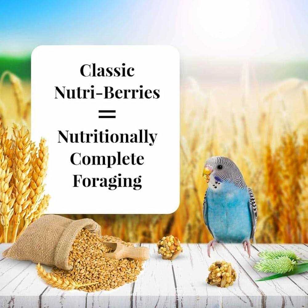Nutri Berries Food C816