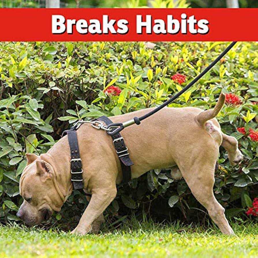 All Natural Dog and Cat Repellent Spray A99287
