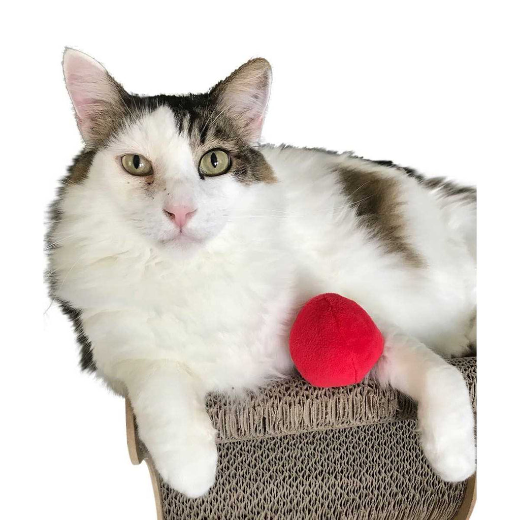 12 Pack Plush Squeaky Balls E7229