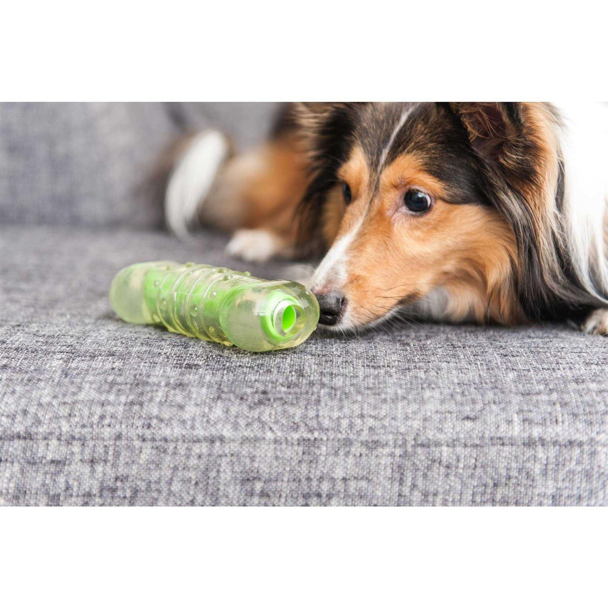 Crunchcore Bone Dog Chew Toy K506