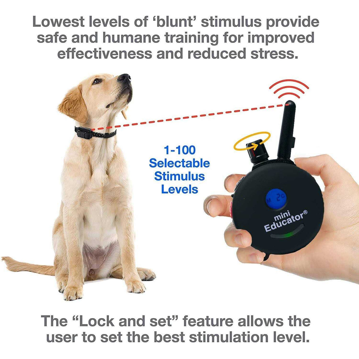 Dog Training Collar System with Remote K772