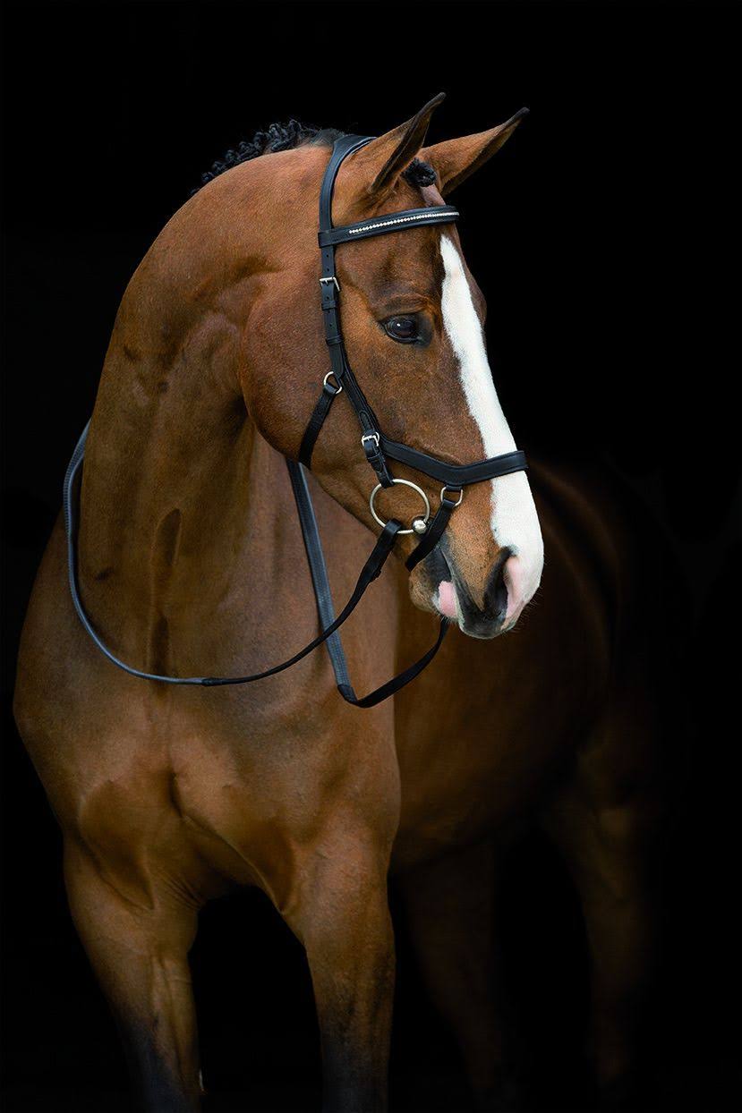 Black Competition Bridle C2325