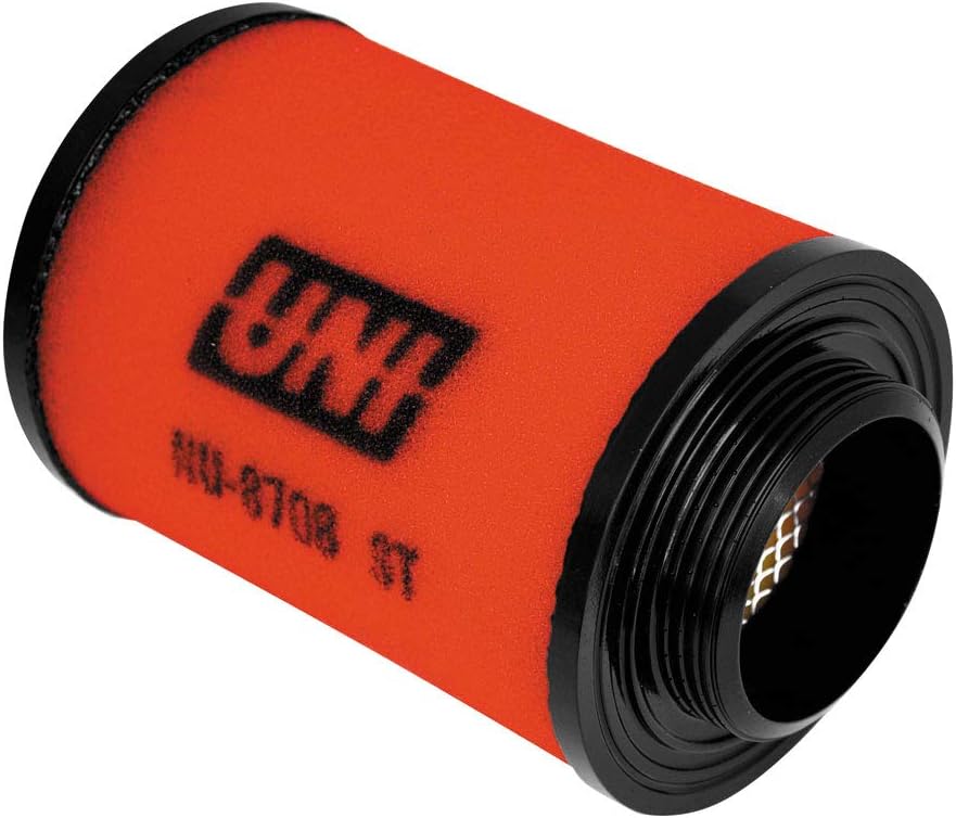 Dual Stage Air Filter Y998724