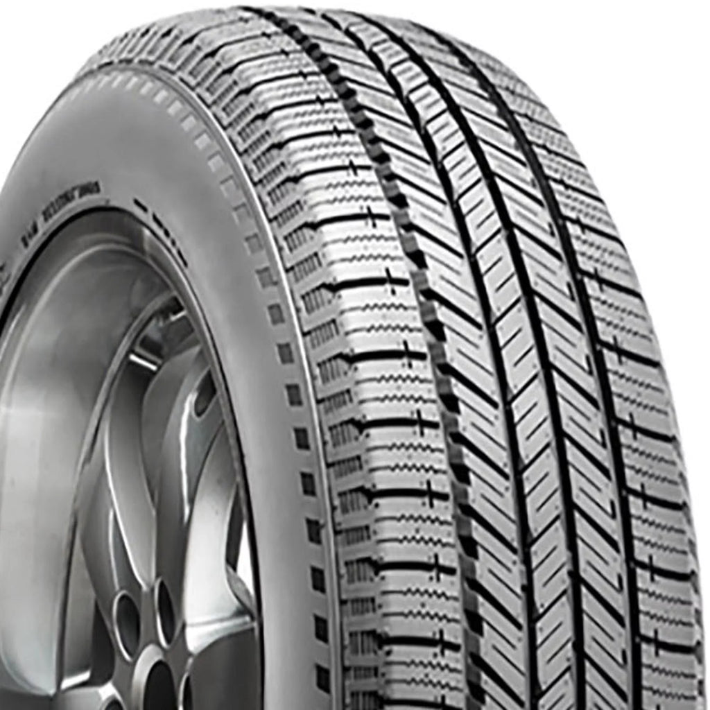 All-Season Tire 255/65R18 111S P6121
