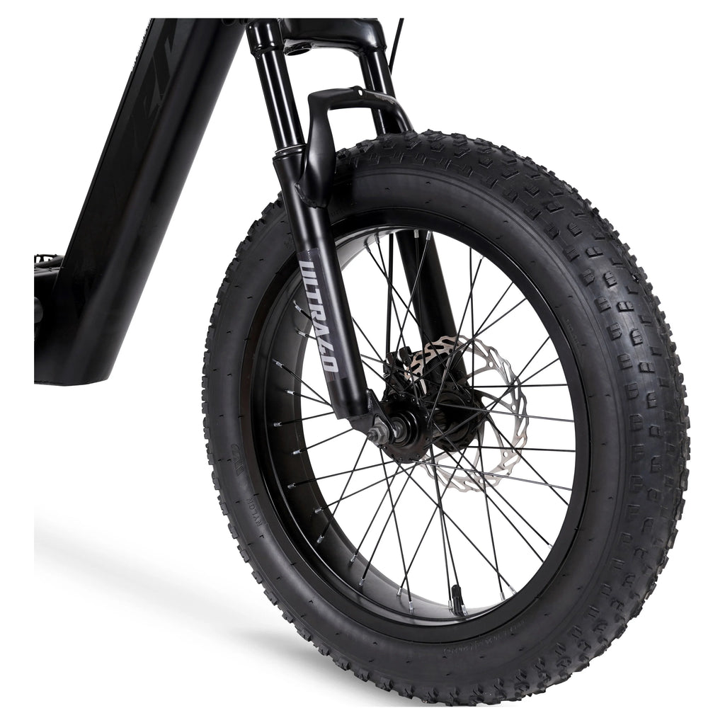 20 36V 250W Electric Bike Matte Black R83805