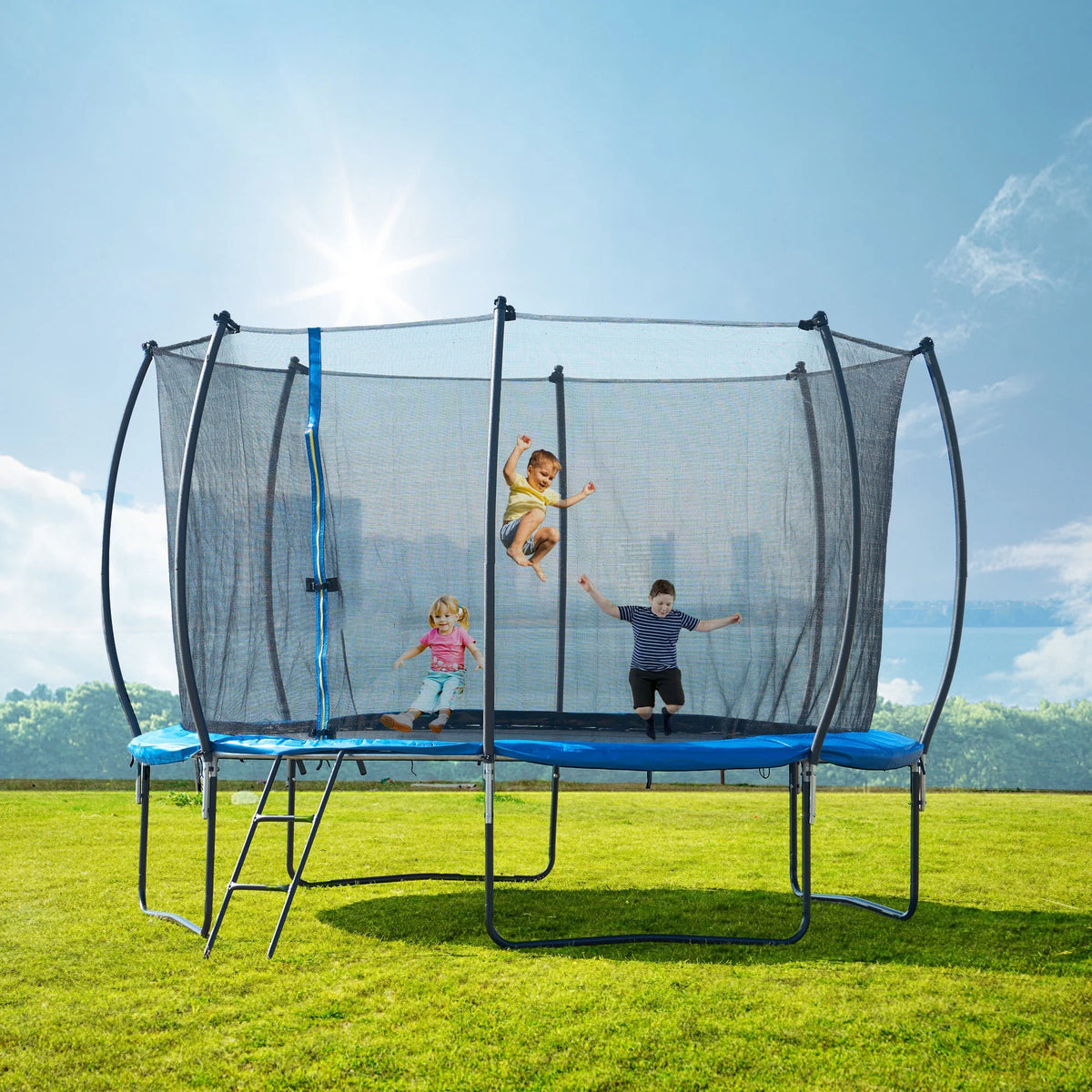 14FT Trampoline with Enclosure and Ladder T20145