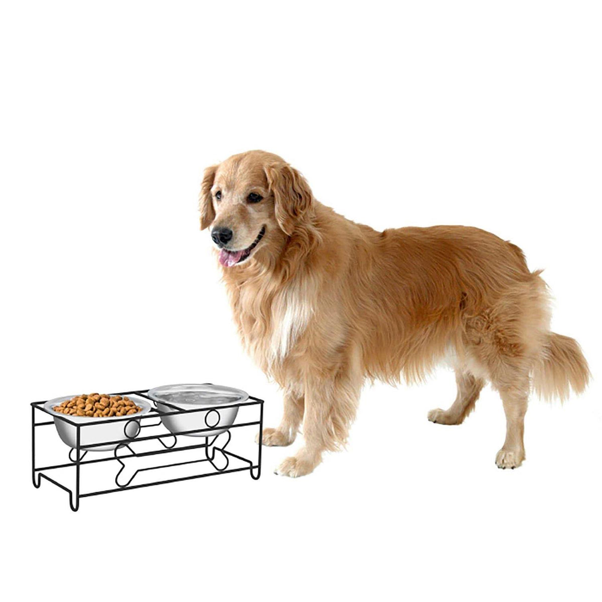 Modern Double Elevated Dog Bowls D50811