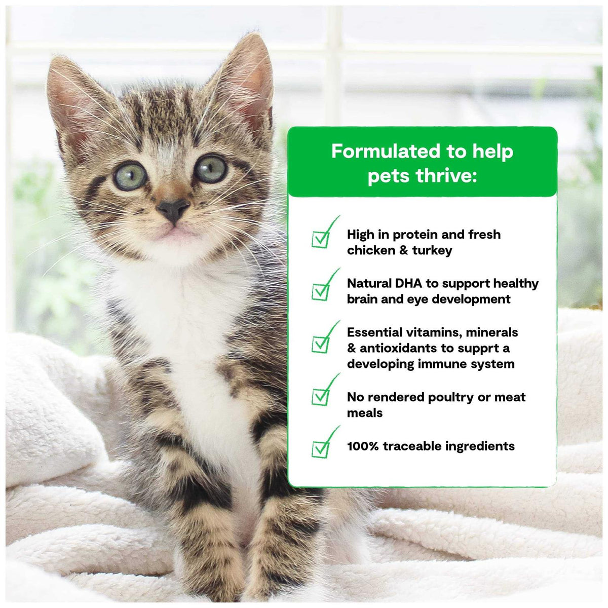 Grain Free Kitten Recipe I552