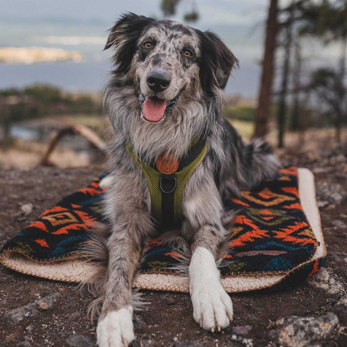 Sherpa Fleece Waterproof Blanket Z67469