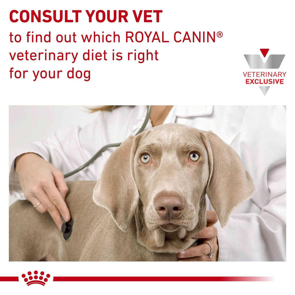 Hydrolyzed Protein Moderate Calorie Dry Dog Food Y250514