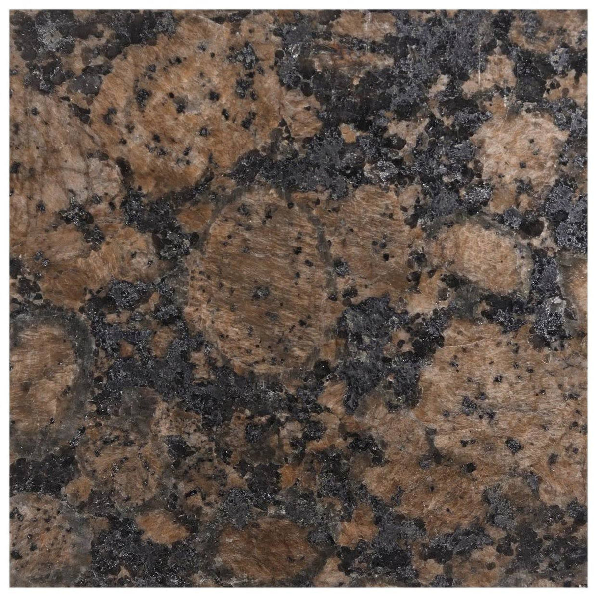 Baltic Brown Granite Vanity Top 25 in x 22 in with Backsplash 8 in Spread J433983