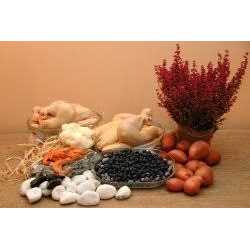 Grain Free Chicken Dog Food D348