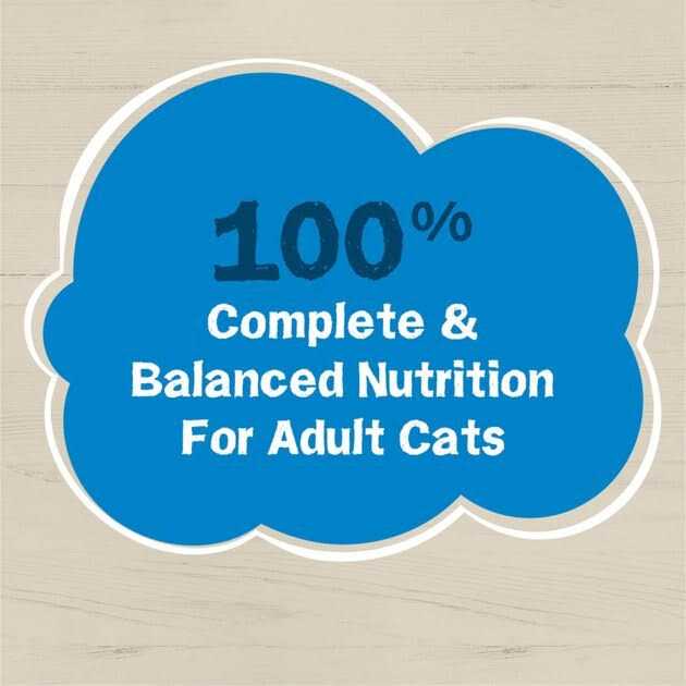 Wet Cat Food K92837