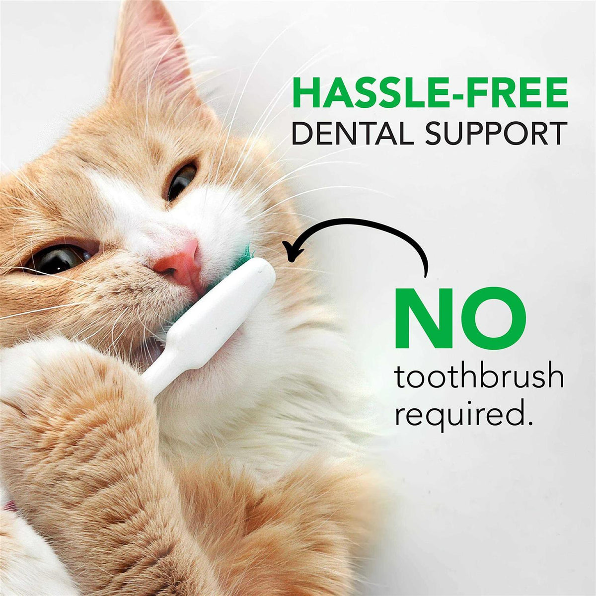 Perio Plus Feline Bites Q51739