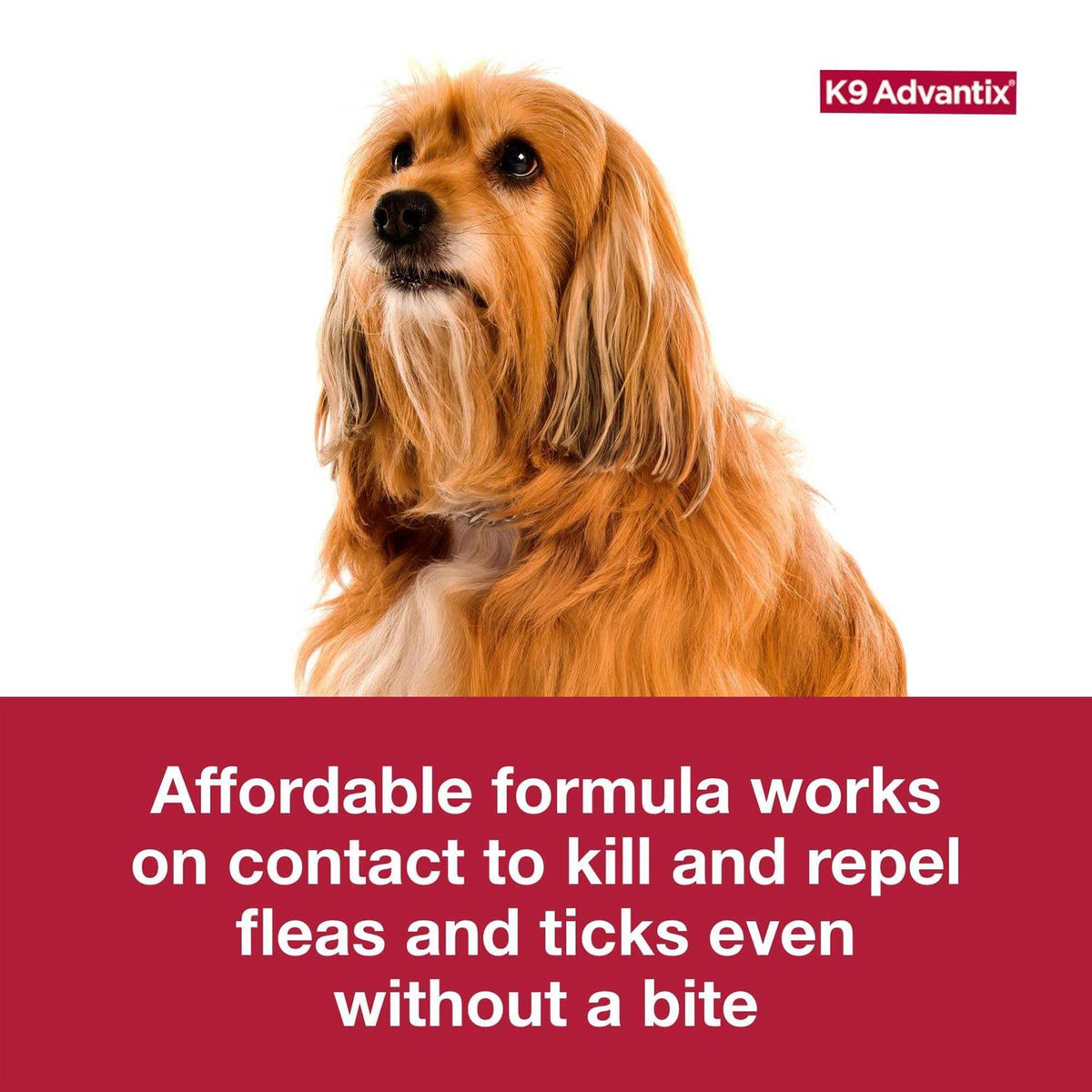 Flea Tick & Mosquito Prevention for Large Dogs B47871
