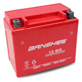 12 Volt 12 Ah SLA AGM Battery G9195