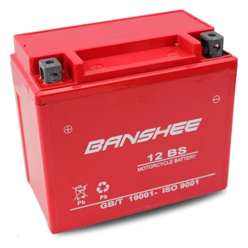 12 Volt 12 Ah SLA AGM Battery G9195