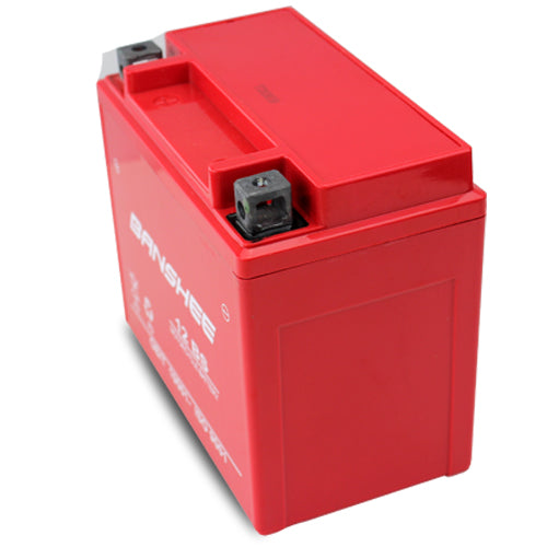12 Volt 12 Ah SLA AGM Battery G9195
