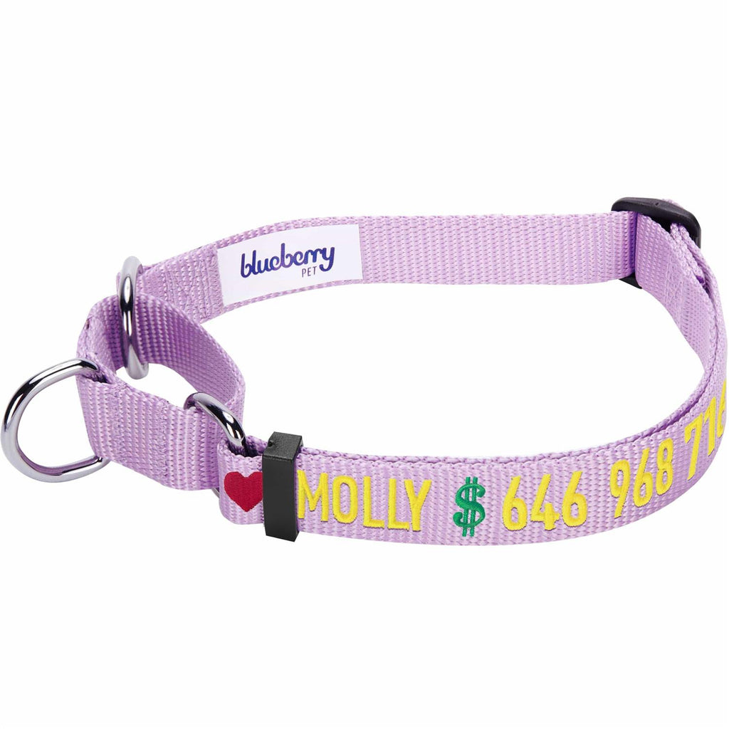 Martingale Safety Training Dog Collar O89890
