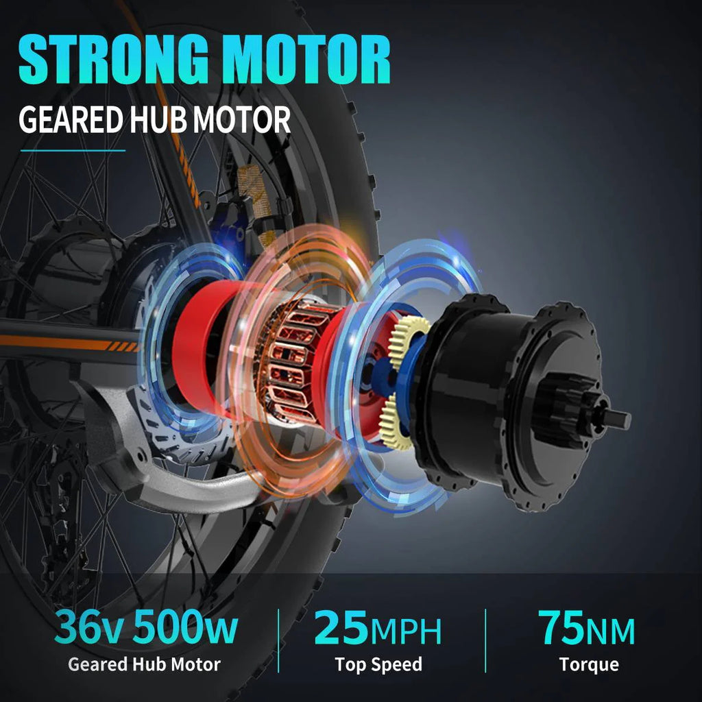 Folding Electric Bike 20 inch Fat Tire 500W 36V 13AH C173