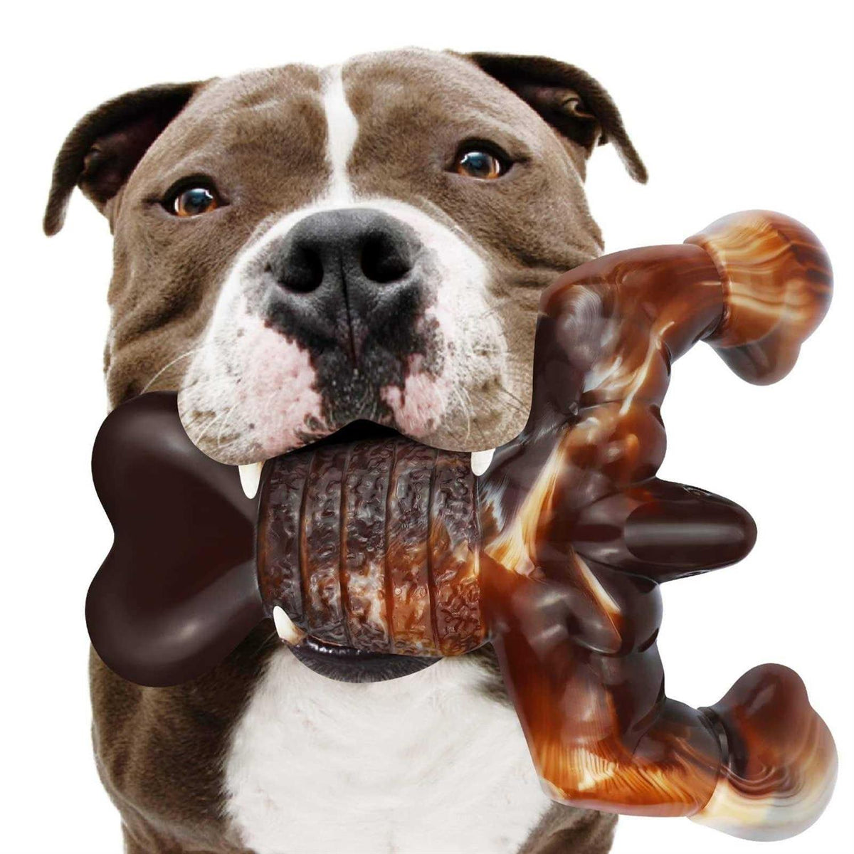 Real Bacon Flavored Tough Dog Bone Chew Toy S2434