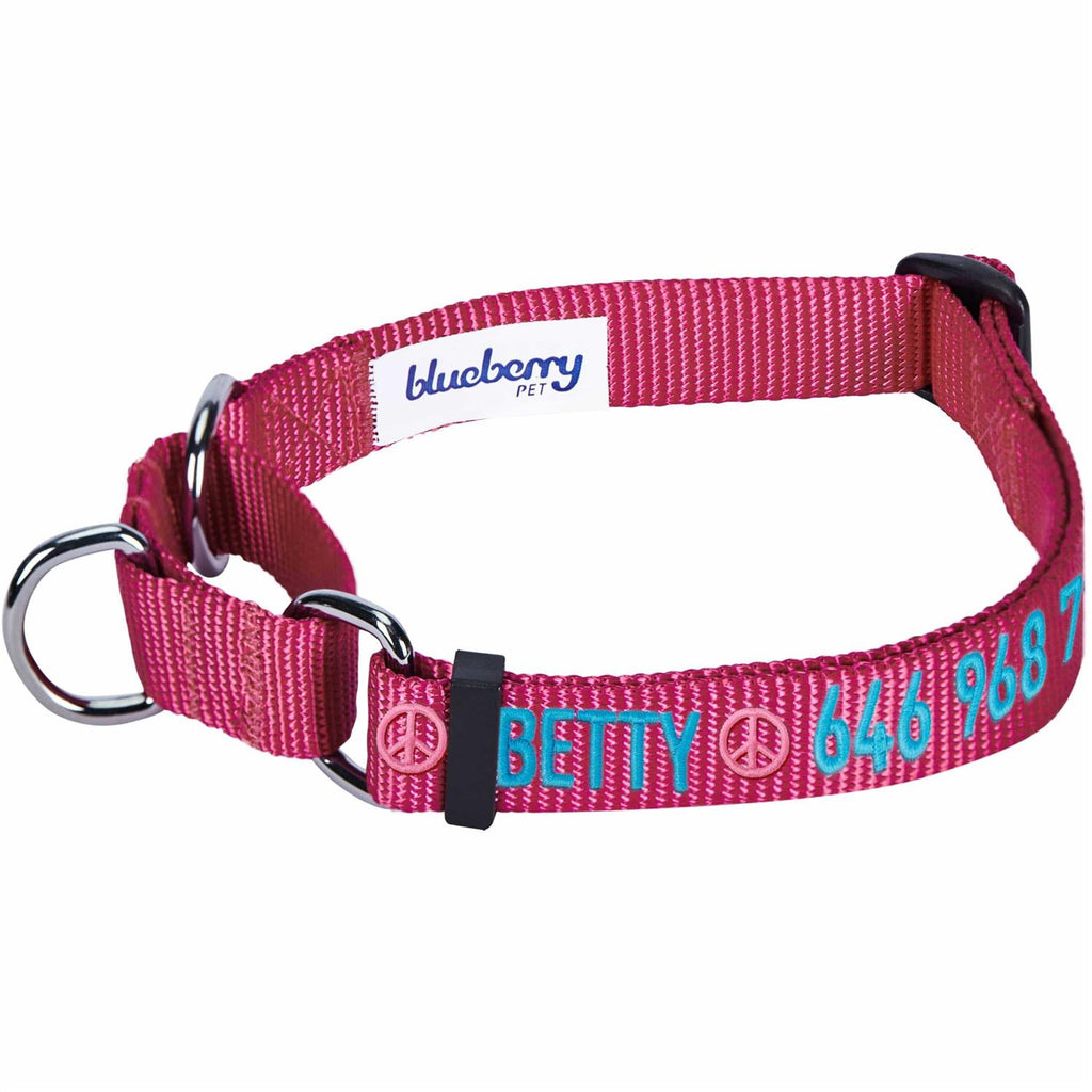 Martingale Safety Training Dog Collar O89890