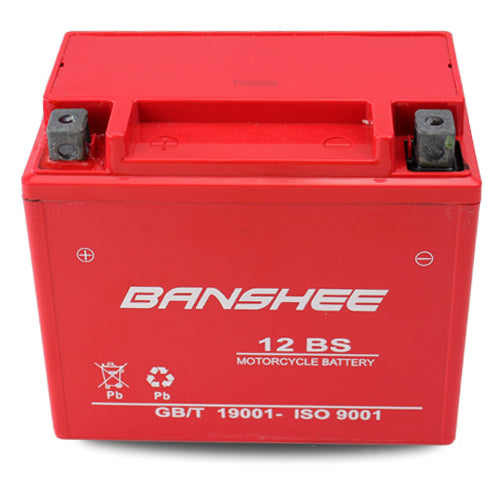 12 Volt 12 Ah SLA AGM Battery G9195