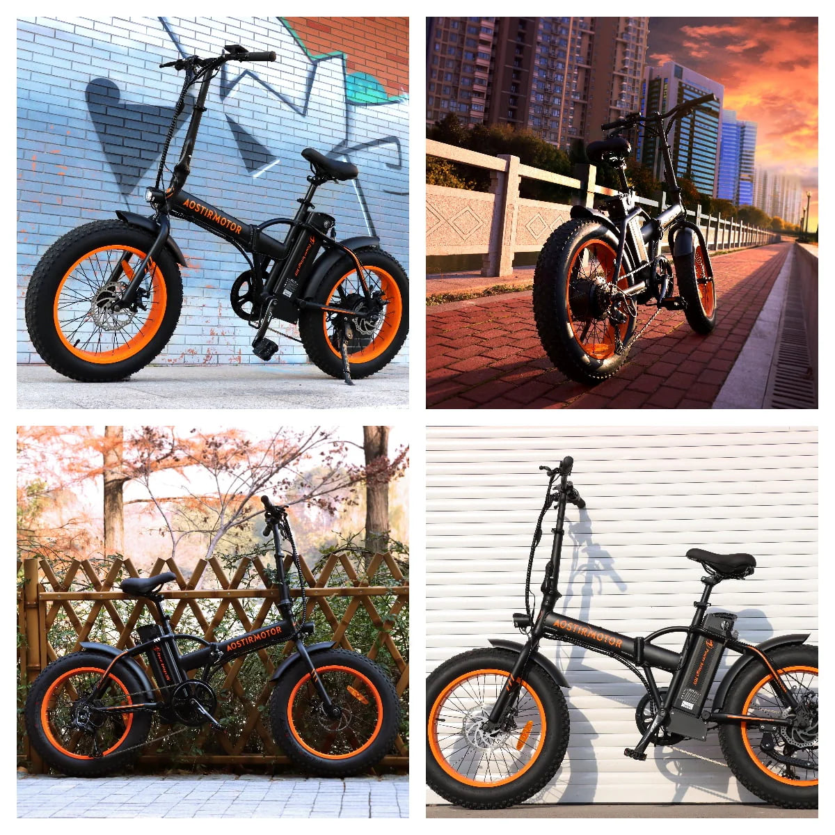Folding Electric Bike 20 inch Fat Tire 500W 36V 13AH C173