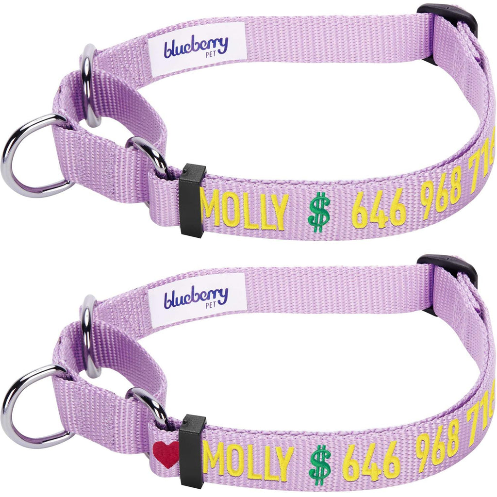 Martingale Safety Training Dog Collar O89890